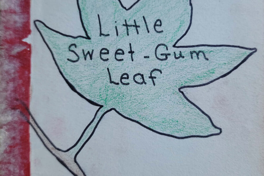 Little Sweet Gum Leaf